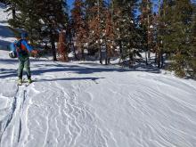 Wind scouring near 8000' in open BTL terrain.