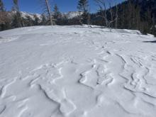 Wind effected snow on exposed areas near treeline.