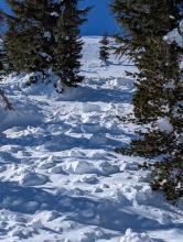 A previous avalanche on a NE aspect at 8800ft. Zoom in to crown and it's not very weather worn 