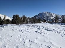 Wind affected snow surfaces were widespread on Chickadee Ridge.