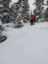 Loose dry sluff of new snow on top of surface hoar.