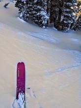 Sluffs of unconsolidated fresh snow sliding on top of surface hoar in below treeline terrain on a steep N facing test slope on Silver Peak.