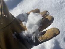 Dry near surface facets under new snow.