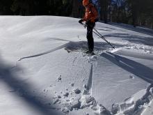 Small reactive wind slab in BTL terrain.