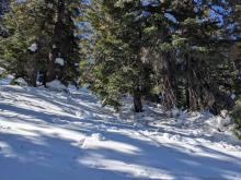 Refrozen hard tree bombs around and under treed areas.