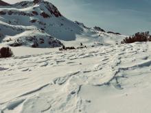 Looking up at Round Top from Winnemucca Lake.