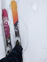 Cracking in the storm snow around our skis. These cracks failed on a density change in the storm snow, the graupel layer at the base of the storm snow, and the buried surface hoar just below the old/new interface.