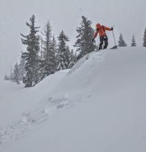 Skier-triggered storm slab avalanche on a near treeline test slope.