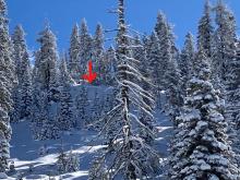 Potential small natural avalanche crown on small rollover in open BTL terrain.  Did not investigate area or crown.