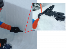 Surface hoar layer buried ~18 inches below the surface on N-NE aspects in below treeline terrain. We did an ECT here and got unstable results on the 7th tap (ECTP 7).