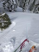 Skier triggered shooting crack in an area loaded by the E and NE winds.