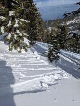 Wet surface snow with roller balls on E aspects by late morning.  