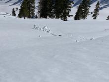 2 to 3 inches of surface wet snow with rollerballs and small pinwheels on SE aspect terrain around 7,800'.