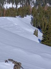 Old, very shallow wind slab avalanche in NE aspect terrain near treeline.
