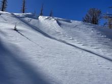 Wind effected snow in open areas in near tree line terrain.