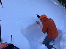 ECTN on a N facing slope in sheltered below treeline terrain. 