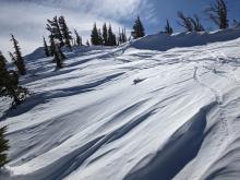 Wind-scoured surfaces on wind-exposed slopes along the summit ridge of Incline Lake Peak