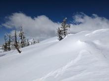 This wind slab is thickest near the ridge and tapers down to a couple inches thick within 10 feet of the ridge. It was typical of the wind slabs I saw today. 