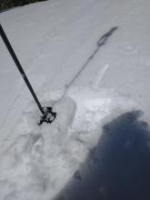 S aspect micro terrain feature at 8,000'. Most recent storm snow fully wet and assimilating with the melt-freeze crust below.