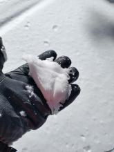 Wet surface snow on low angle N aspect terrain at 7,400'.