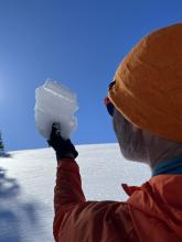 The Jan 29th surface hoar layer was clearly visible in the snowpack.