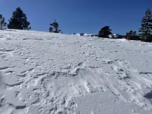 Wind effected snow on exposed areas in below tree line terrain.