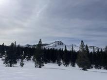 High cirrus clouds reducing solar radiation.