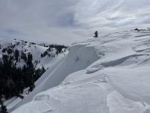 Old/new cornice development.