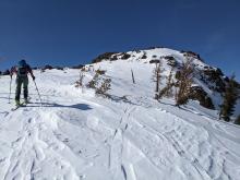 Wind scoured surfaces and raised tracks near the top of Elephant's Hump