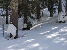 Settlement cones indicating consolidation in the snowpack. 