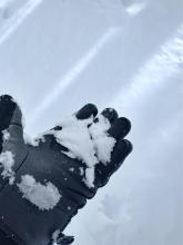 Moist near surface facets (the old snow surface) in shaded NE aspect terrain at around 7,900'.