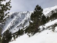 Ample Snow cover in east chutes of Fay Luther