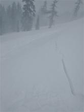 Shooting crack triggered in a wind slab leading to a small avalanche.