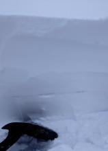 Grey stripe of faceted snow just above my shovel. Without a slab above the facets in the areas we traveled today, ECTs did not propagate.