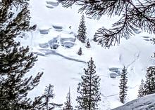 Avalanche on low on Trestle Peak