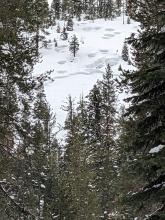 Avalanche on low on Trestle Peak