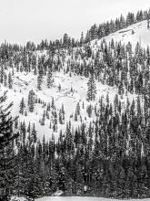 Avalanche on low on Trestle Peak