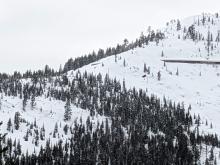 Avalanche on low on Trestle Peak