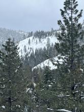 Avalanche crown we suspected was triggered during the day today