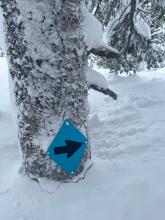 Settlement cone and a nearly buried XC trail marker
