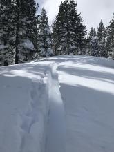 North winds blowing snow