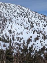 Wet snow instabilities on the flanks of Relay Peak