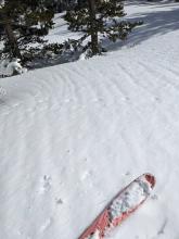 Runnels forming in the snow on a SE facing slope as the day warmed up. 