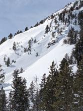 Shallow wet loose activity on an ESE aspect on Incline Lake Peak