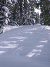 Previous scouring by NE winds near treeline on NE aspect terrain.