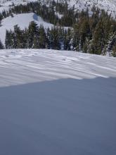 Previous scouring by NE winds across N aspect terrain above treeline.