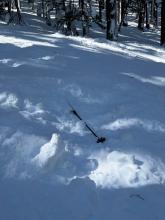 It was hard to capture with photos but there were many gargantuan craters from previous snow bombs.