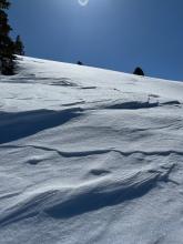 Lots of wind textured snow on the edges of the north facing slopes. 