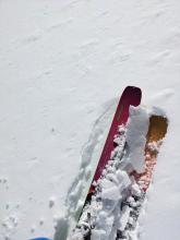 Breakable crust on sunny slopes today. 