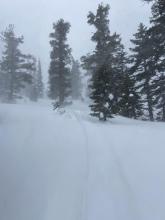 Blowing snow was occurring in below treeline areas. 